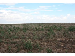 Property photo 11 - LAND AUCTION, 3255+/- Acres offered in 13 Tracts